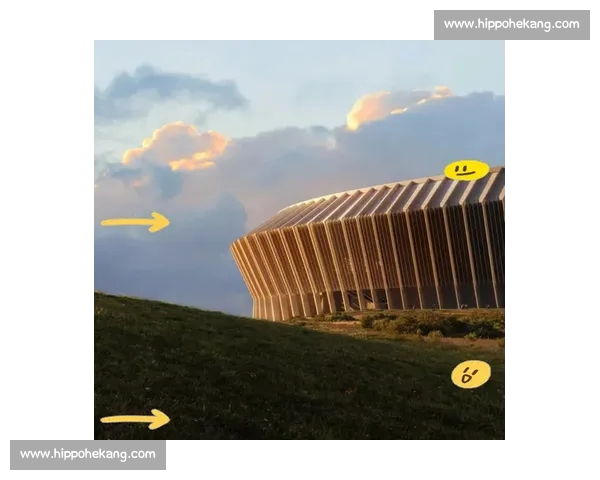 权威足球比赛官方网站打造赛事资讯与数据服务新高地平台生态建设