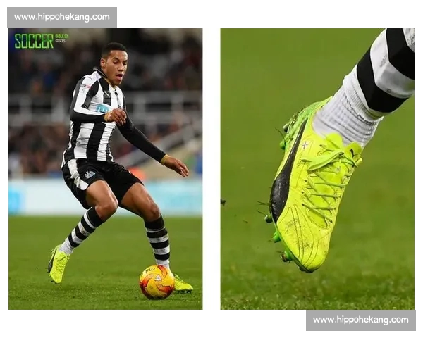 高清足球赛事直播APP下载指南畅享全球赛场精彩即时比分数据分析权威解说 - 副本 - 副本 (31) - 副本 - 副本 - 副本 - 副本